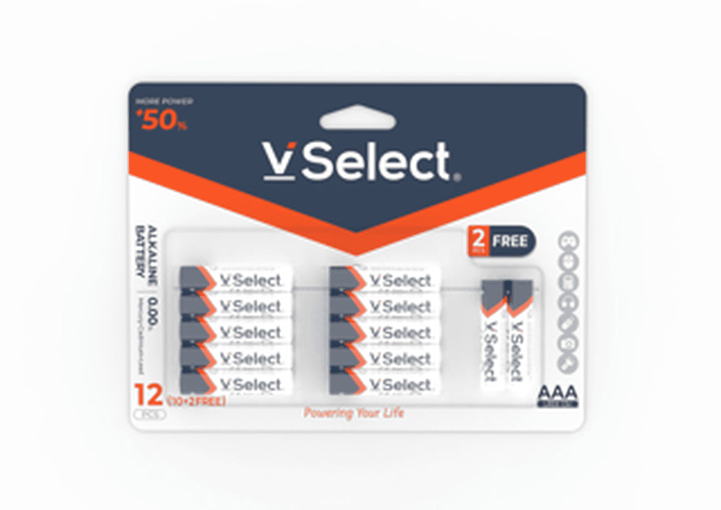 VSelect ALKALINE BATTERY LR03 AAA 12PCS VS195275