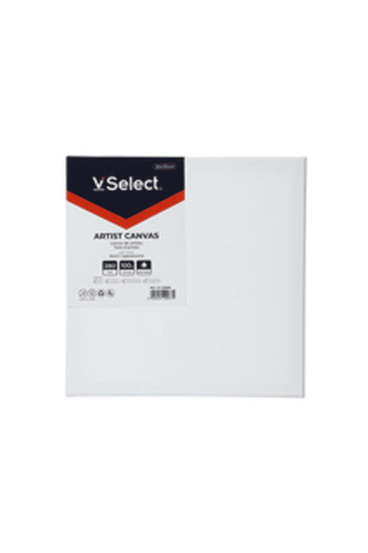 VSelect ARTIST CANVAS 30*30cm VS195084