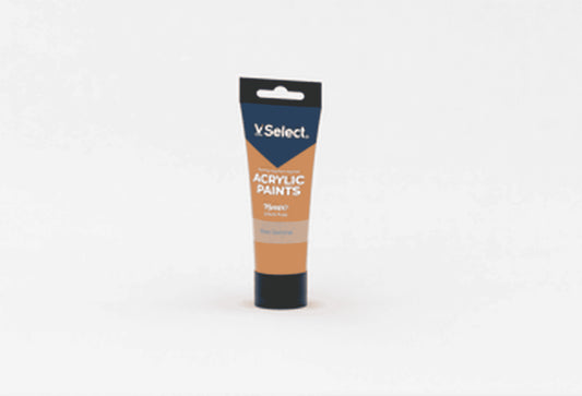 VSelect ACRYLIC PAINTS 75ml Raw Sienna VS195193