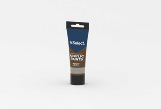 VSelect ACRYLIC PAINTS 75ml Raw Umber VS195201