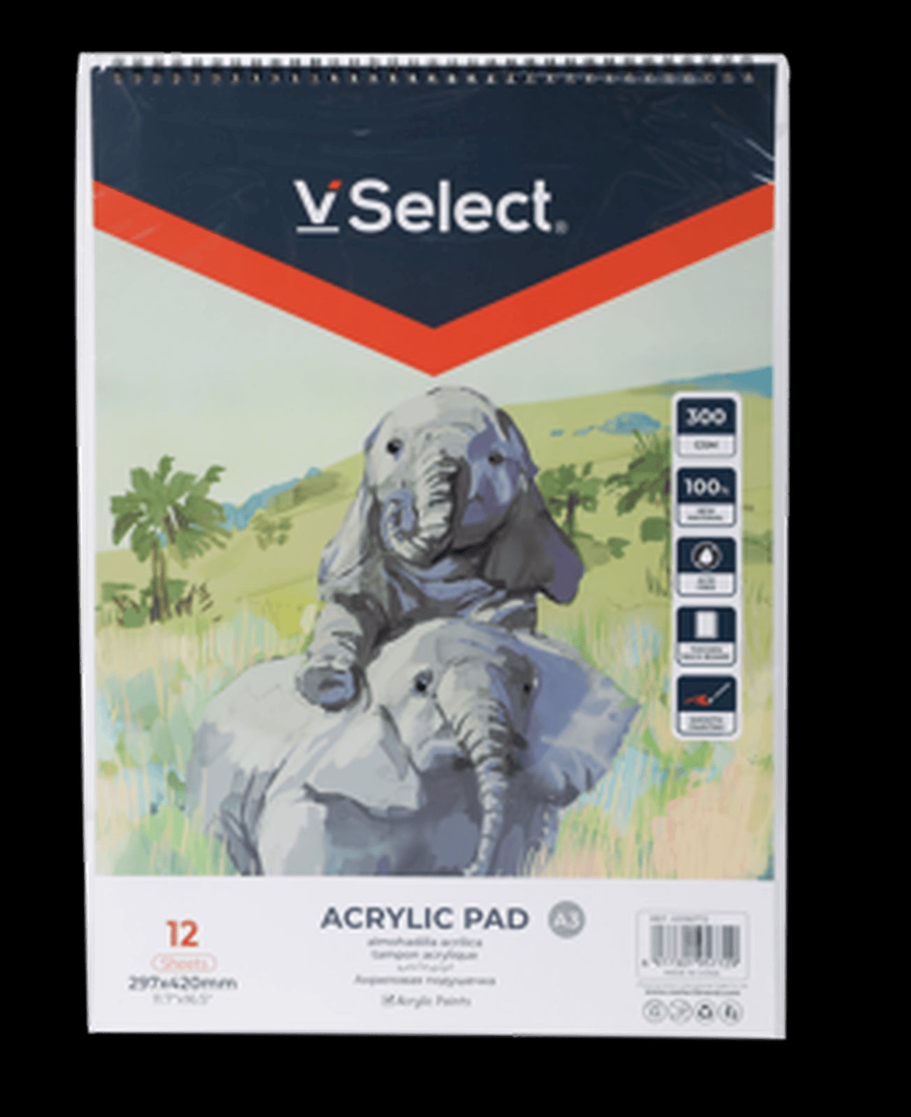 VSelect A3 ACRYLIC PAD 300gsm 12Sheets VS195772