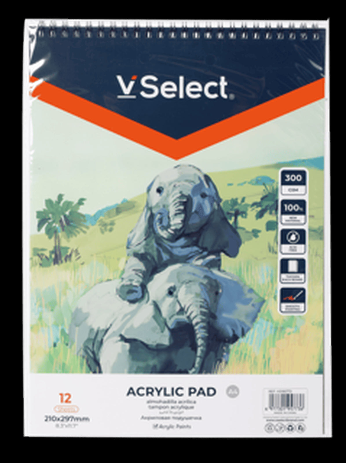 VSelect A4 ACRYLIC PAD 300gsm 12Sheets VS195773