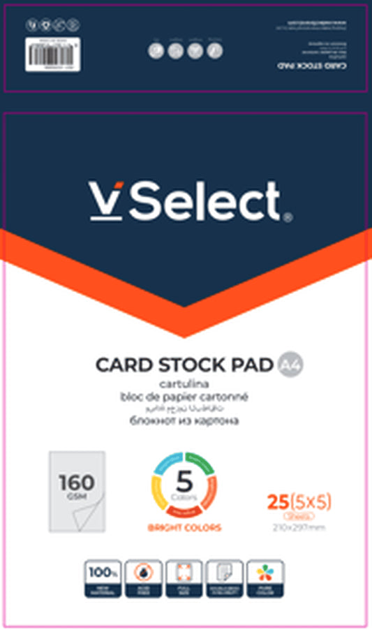 VSelect A4 CARD STOCK PAD 160gsm 5Bright Colors VS195886